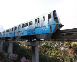 驶向春天的列车