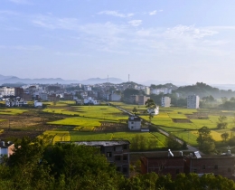 田园晨光