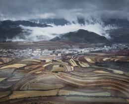 秋天雨雾中的梯田