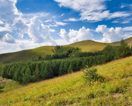 草原美景