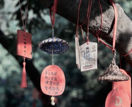 心愿1