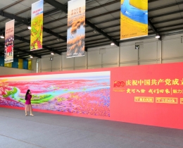 关注