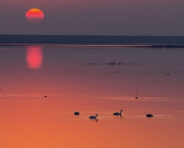 夕阳栖息