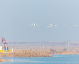 生态和谐油区