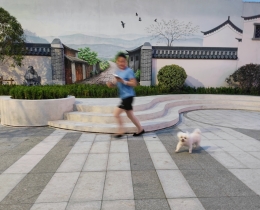 消夏